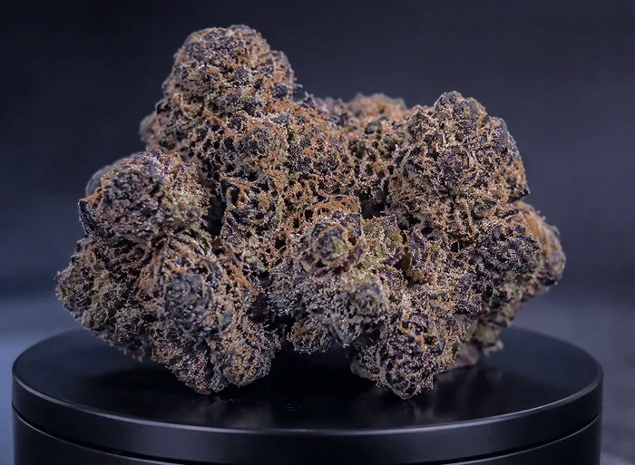 Black Truffle Strain