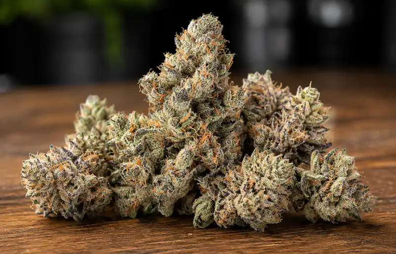 Pink Certz strain