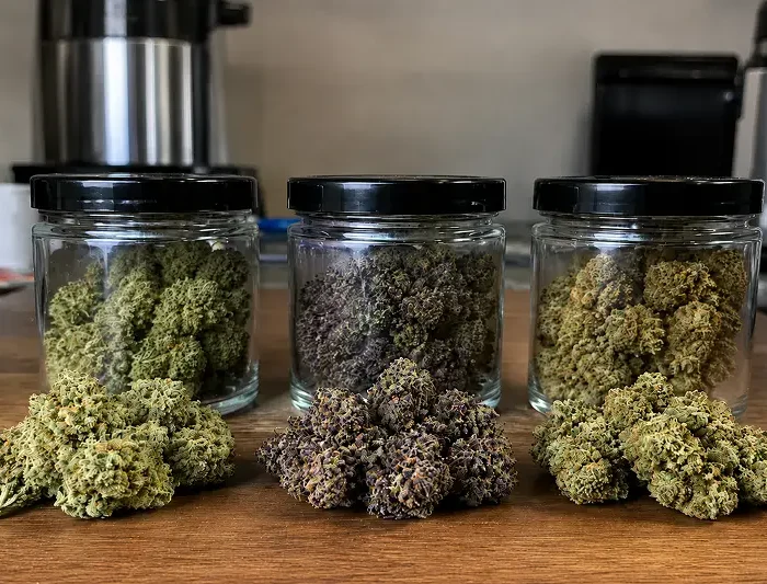 Pop Rocks Strain Review by Gautham Chidambaram