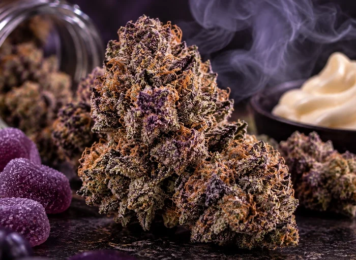 Purple Candy Gas