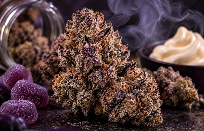 Purple Candy Gas
