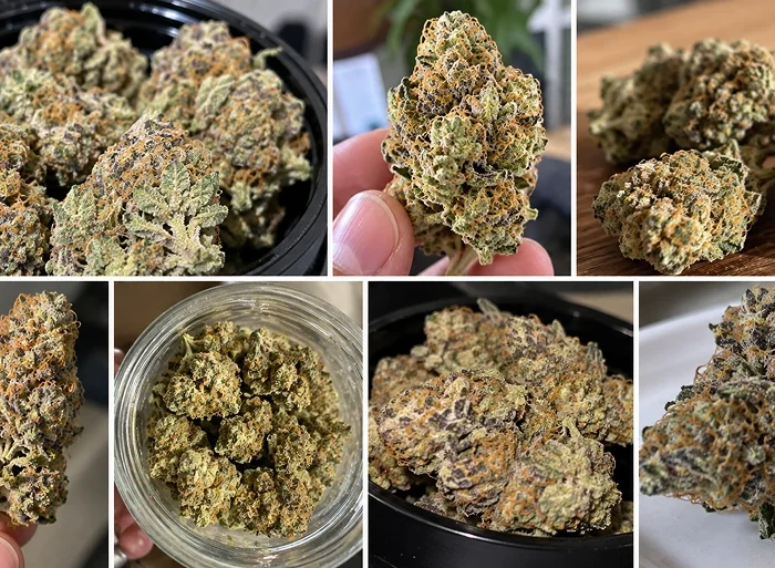 Strawnana Strain Review