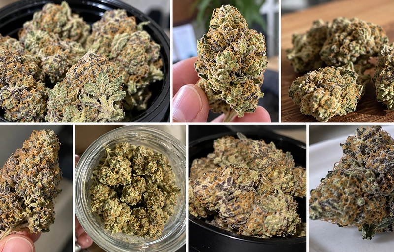 Strawnana Strain Review