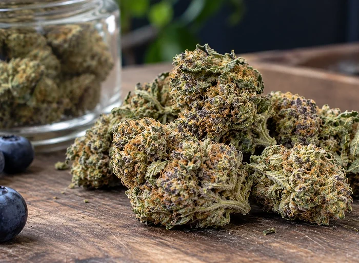 Blue Dream Strain Review A Sweet Berry Sativa Hybrid