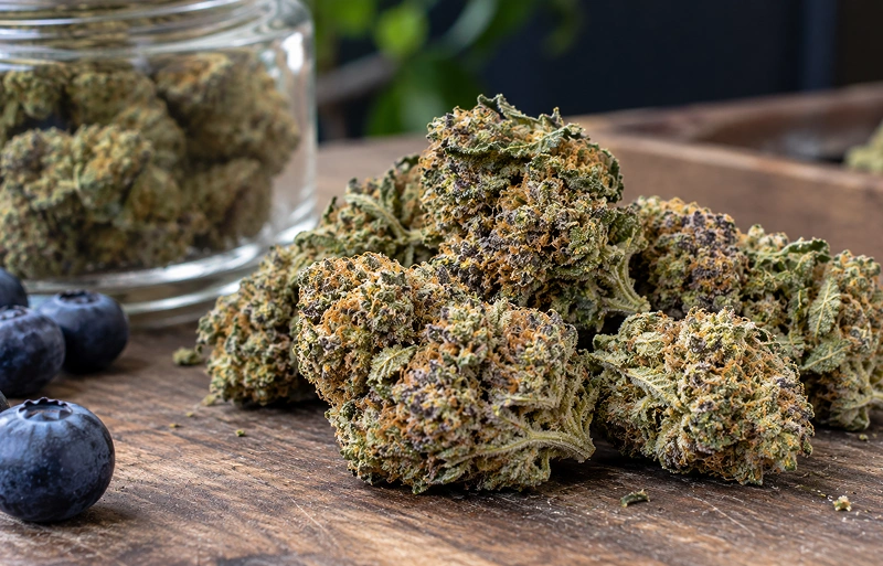 Blue Dream Strain Review A Sweet Berry Sativa Hybrid
